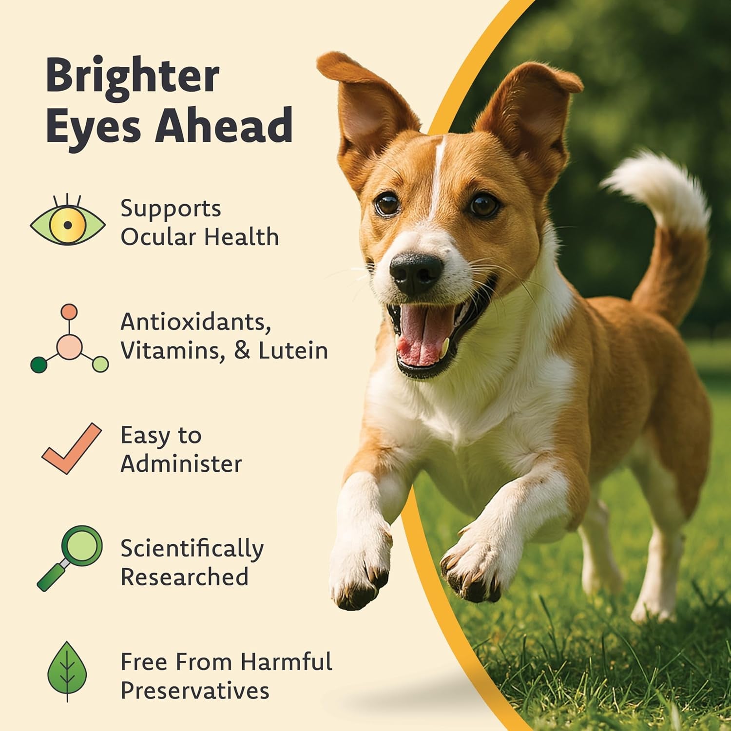 Vision Supplement for Medium to Large Dogs (45Ct)