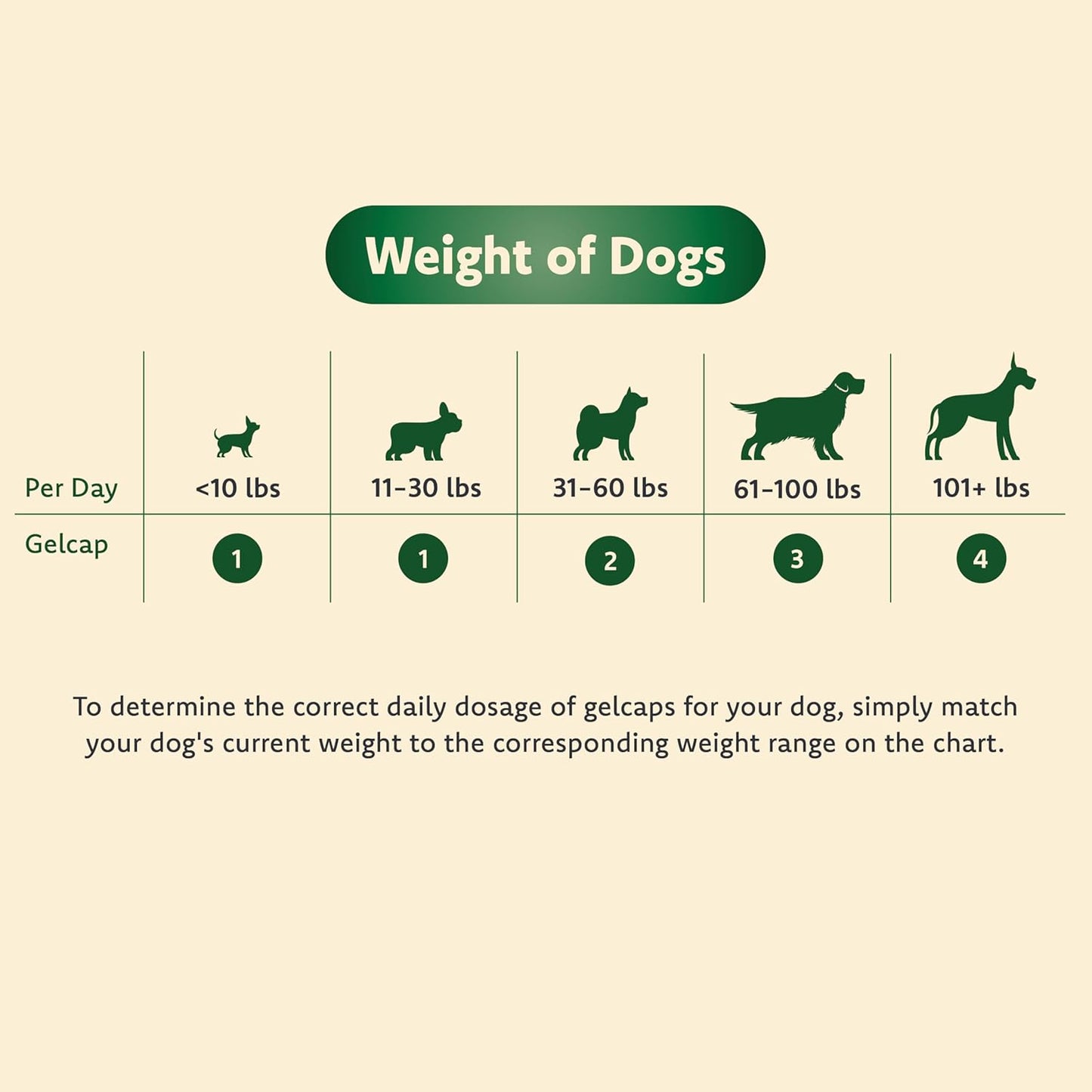 Vision Supplement for Medium to Large Dogs (45Ct)