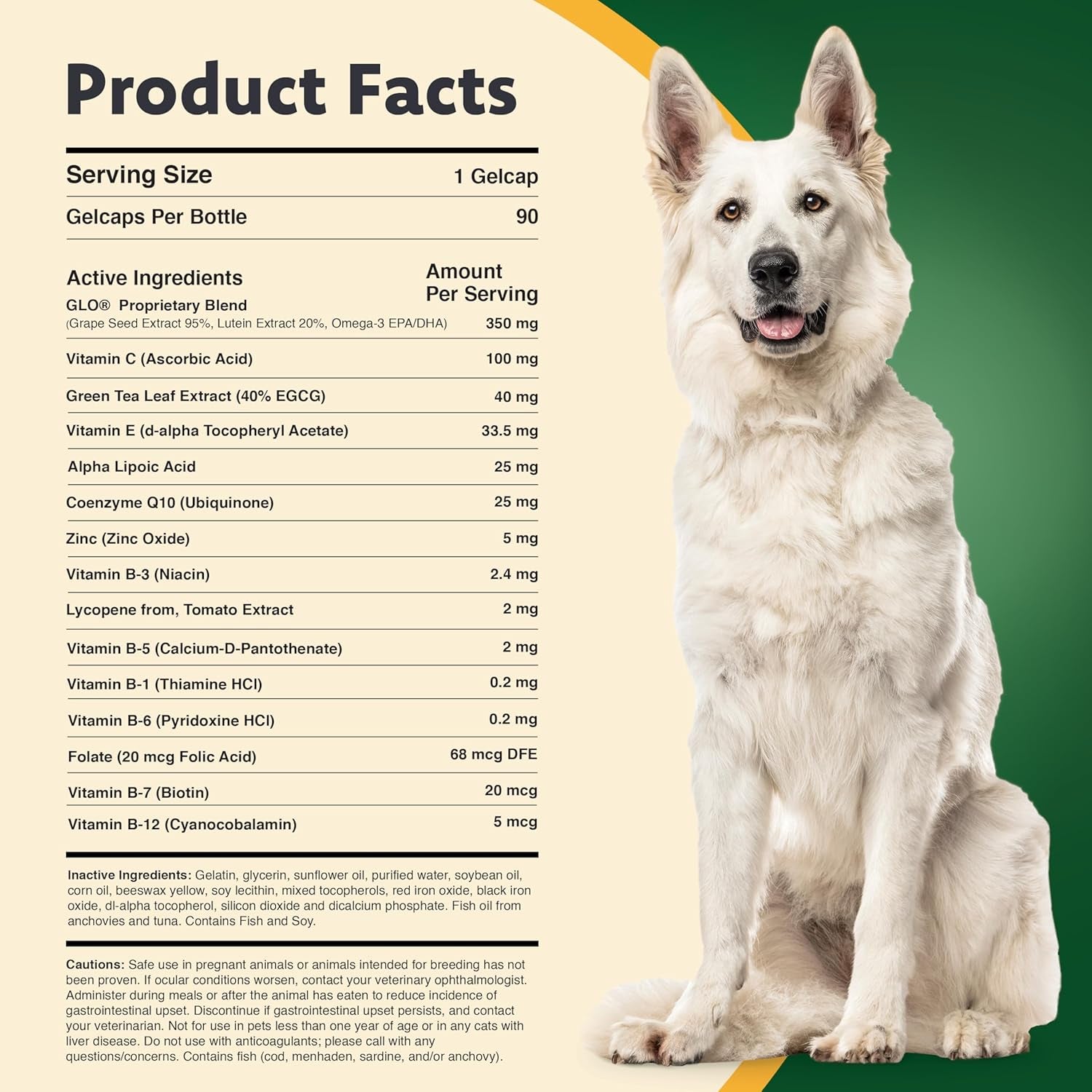 Vision Supplement for Medium to Large Dogs (45Ct)