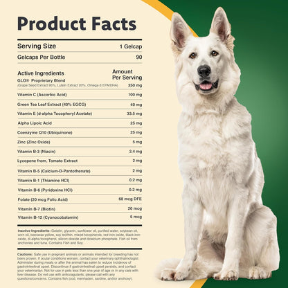 Vision Supplement for Medium to Large Dogs (45Ct)